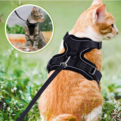 Harnais chat anti-fugue | Chajustable™ + Laisse offerte