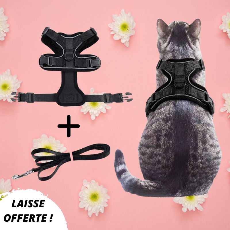 Harnais chat anti-fugue | Chajustable™ + Laisse offerte