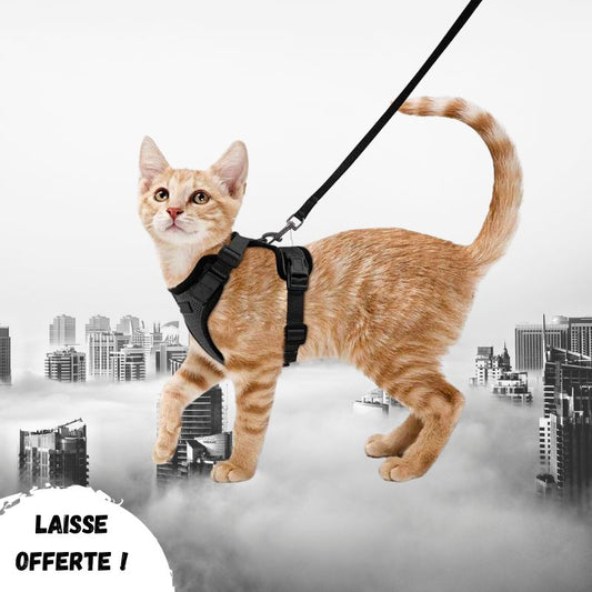 Harnais chat anti-fugue | Chajustable™ + Laisse offerte