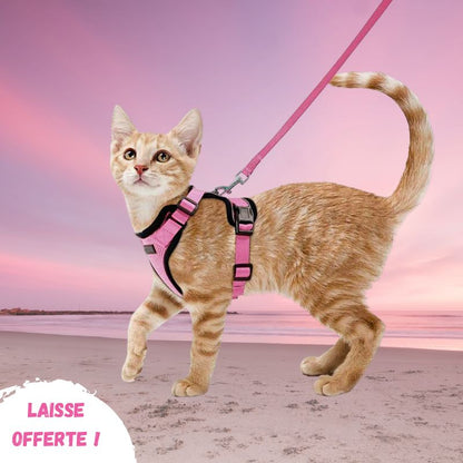 Harnais chat anti-fugue | Chajustable™ + Laisse offerte