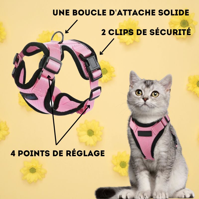 Harnais chat anti-fugue  Chajustable™ – Ma Boutique Chat