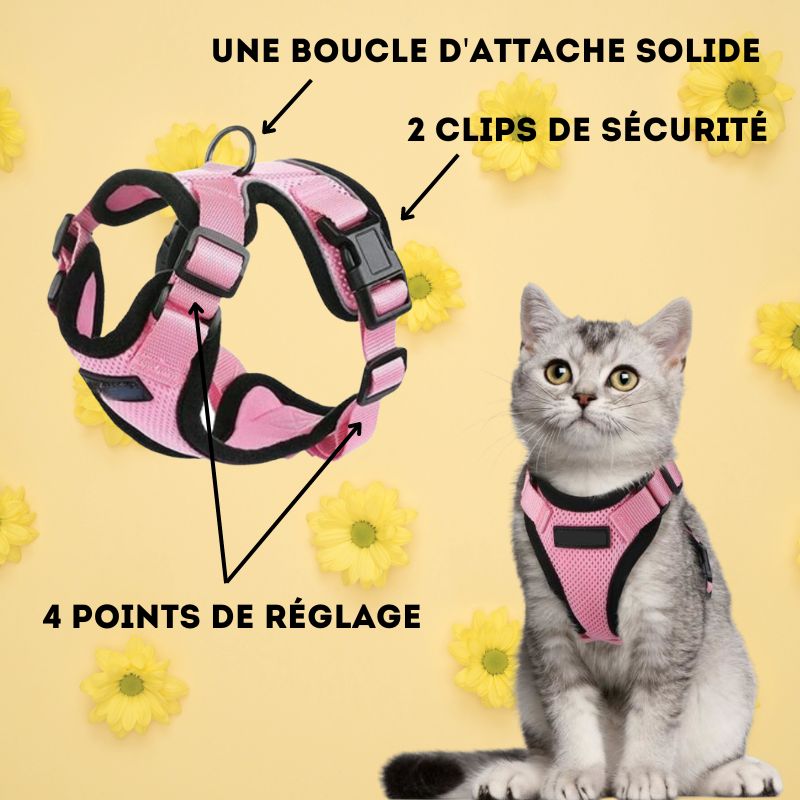 Harnais chat anti-fugue | Chajustable™ + Laisse offerte