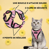 Harnais chat anti-fugue | Chajustable™