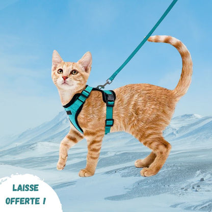 Harnais chat anti-fugue | Chajustable™ + Laisse offerte