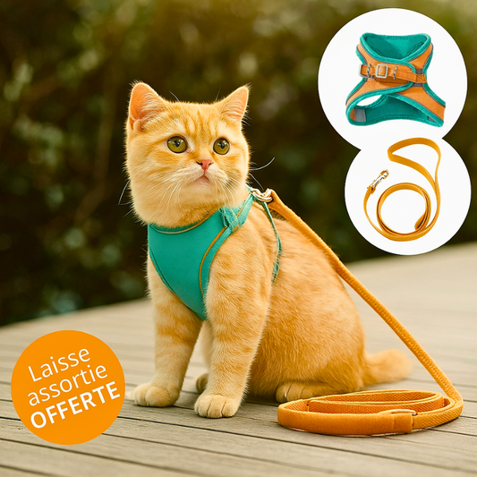 harnais-pour-chat-Ma-Boutique-Chat
