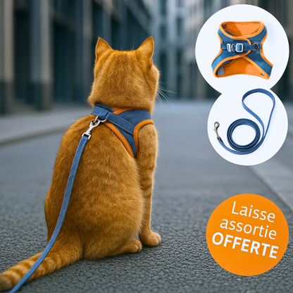 Harnais pour chat | HarnessCat™ + Laisse offerte