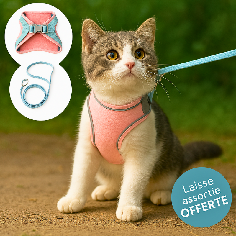 Harnais Pour Chats - Les 15 Meilleurs Produits Comparés - Wild Explained