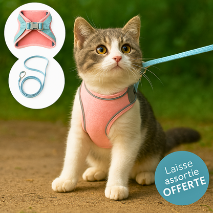 harnais-pour-chat-Ma-Boutique-Cha