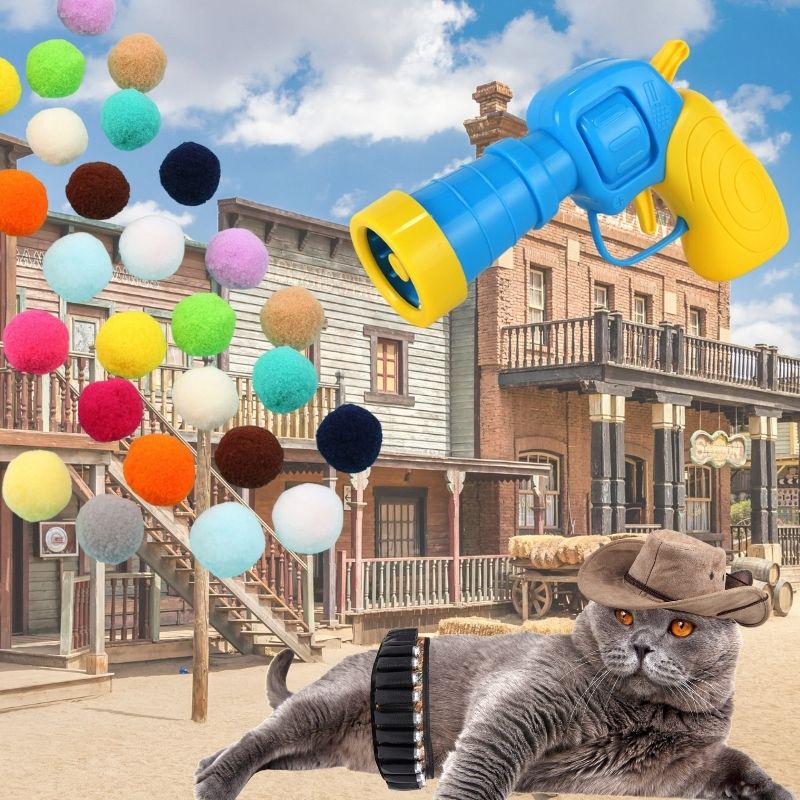 Pistolet + 50 balles pour chat | Westerncat™