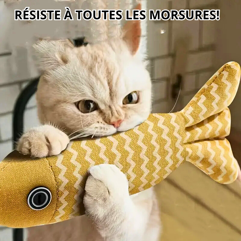 Jeux pour chat 