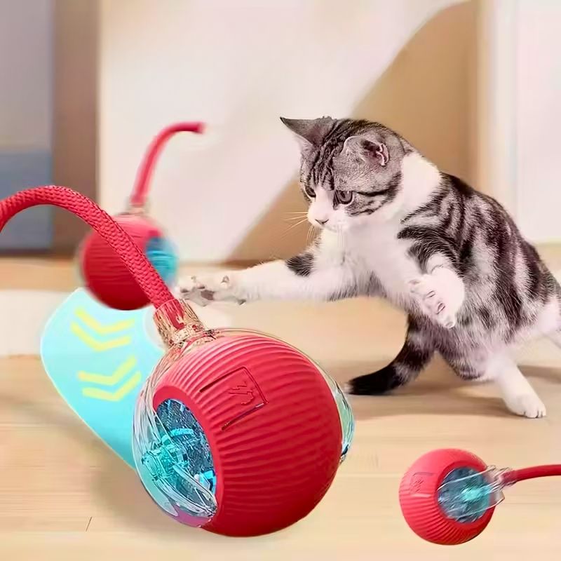 Chaton qui s’amuse avec des balles interactives rouges