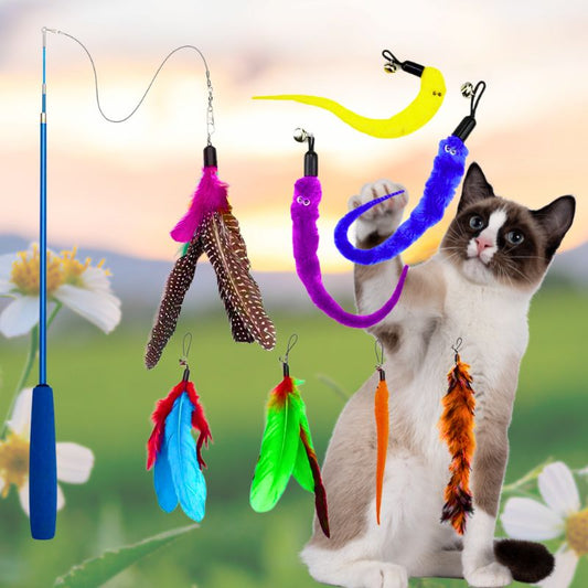 jouet-pour-chat
