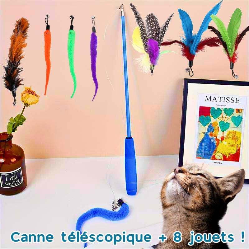 jouet-pour-chat