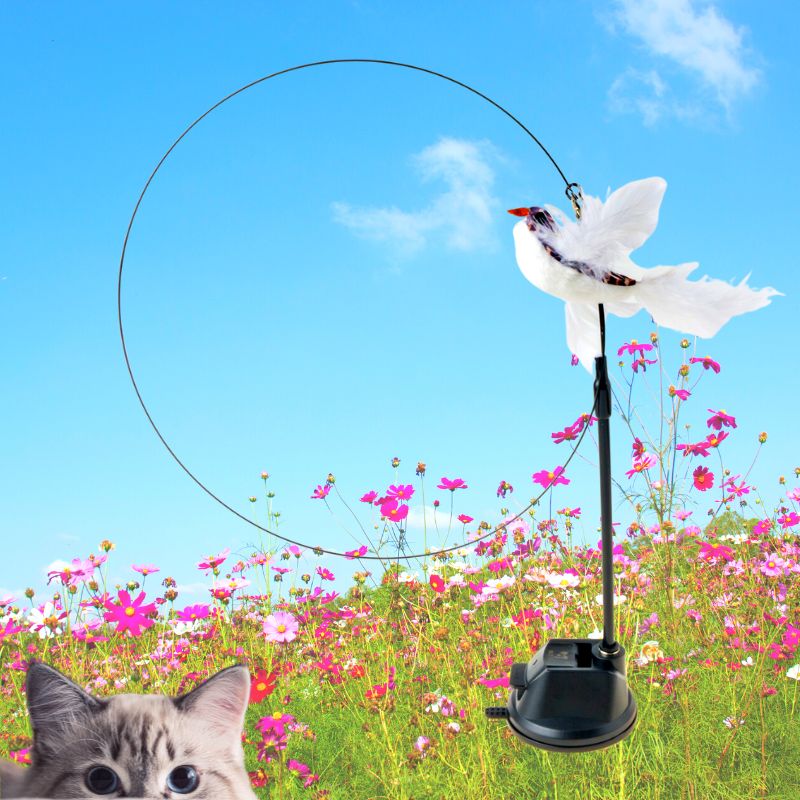 Relax love Jouet pour Chat interactif, avec Les cris des Oiseaux,  Grenouilles et grillons, Balles pour Chats en Peluche chasser(Rose (Bruit  des Oiseaux))，Fonepro