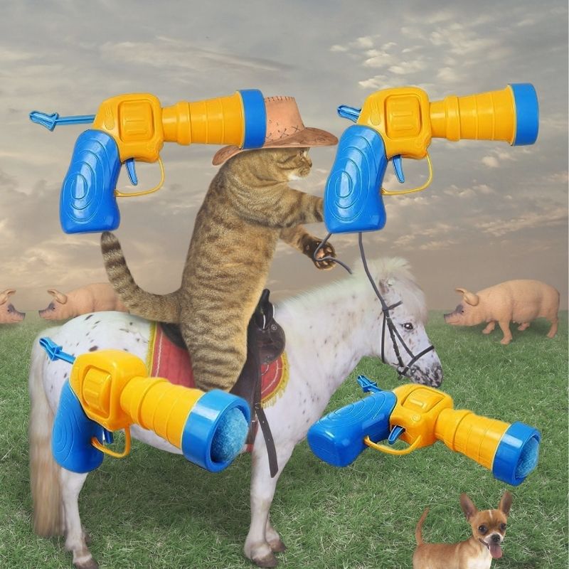 Pistolet + 50 balles pour chat | Westerncat™