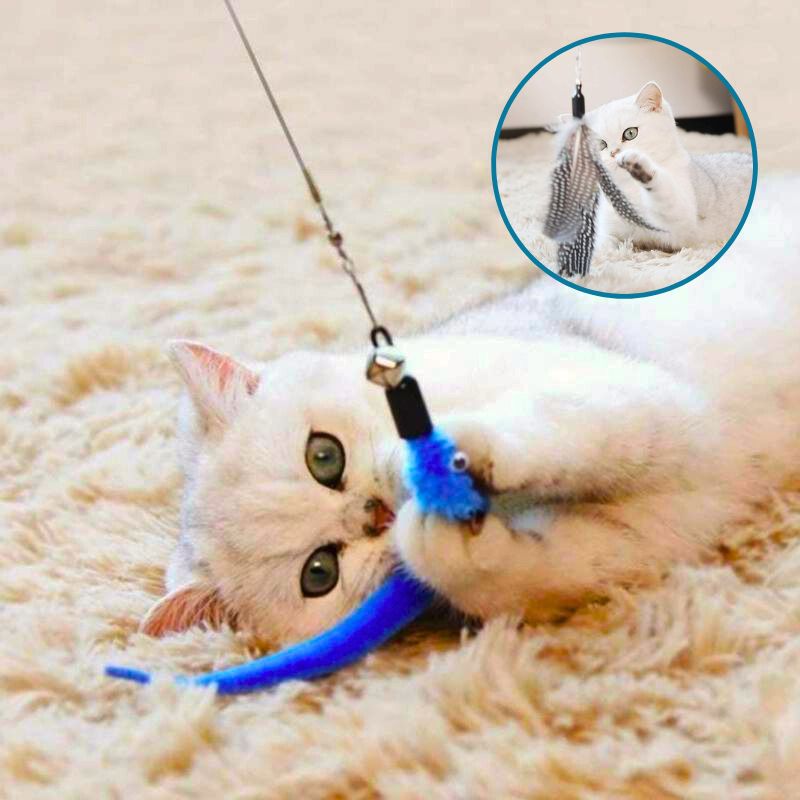 jouet-pour-chat
