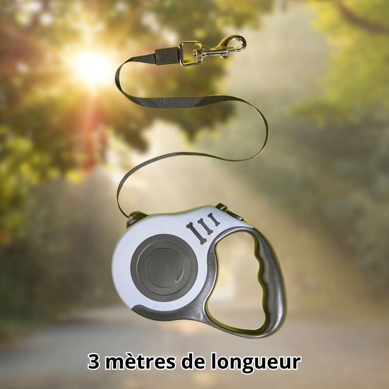 laisse-pour-chat-Ma-boutique-chat