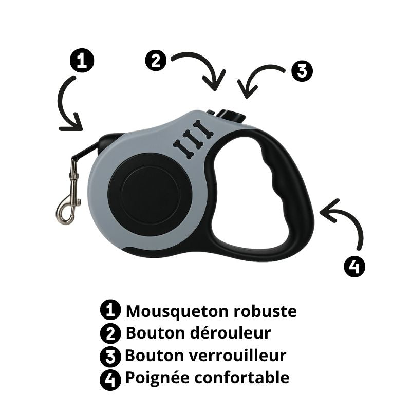 laisse-pour-chat-Ma-boutique-chat