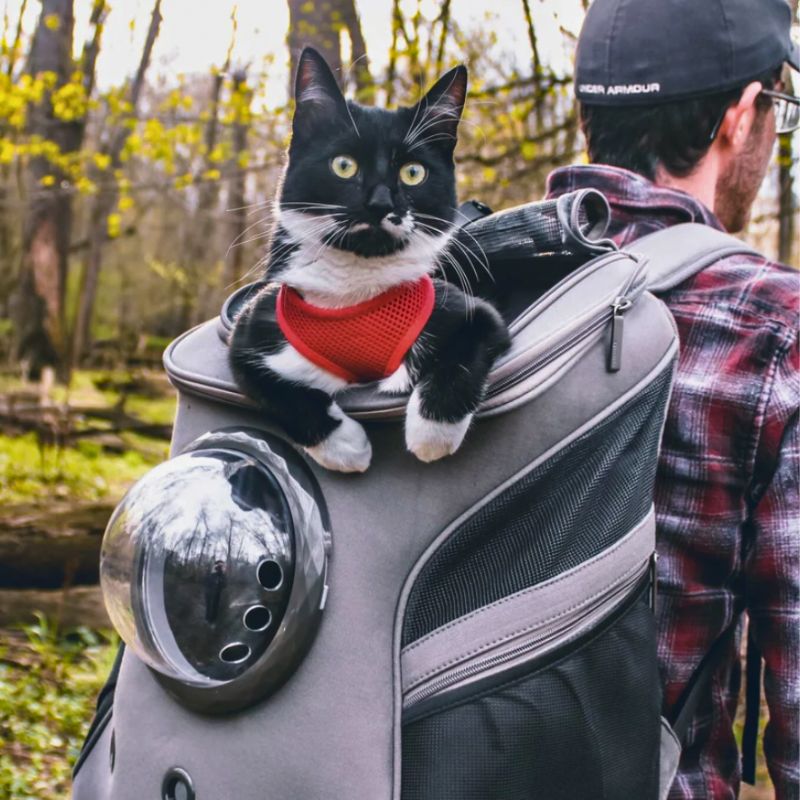 sac-de-transport-pour-chat-beige