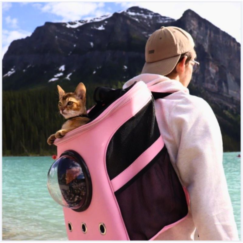 sac-de-transport-pour-chat-beige