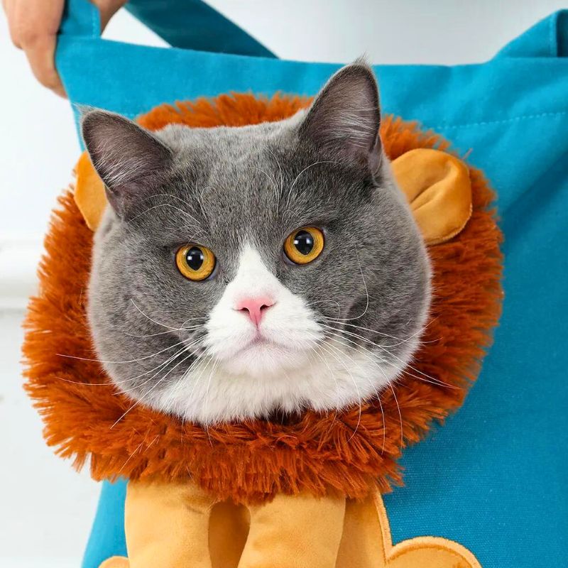 Sac de transport pour chat | Liontrotter™