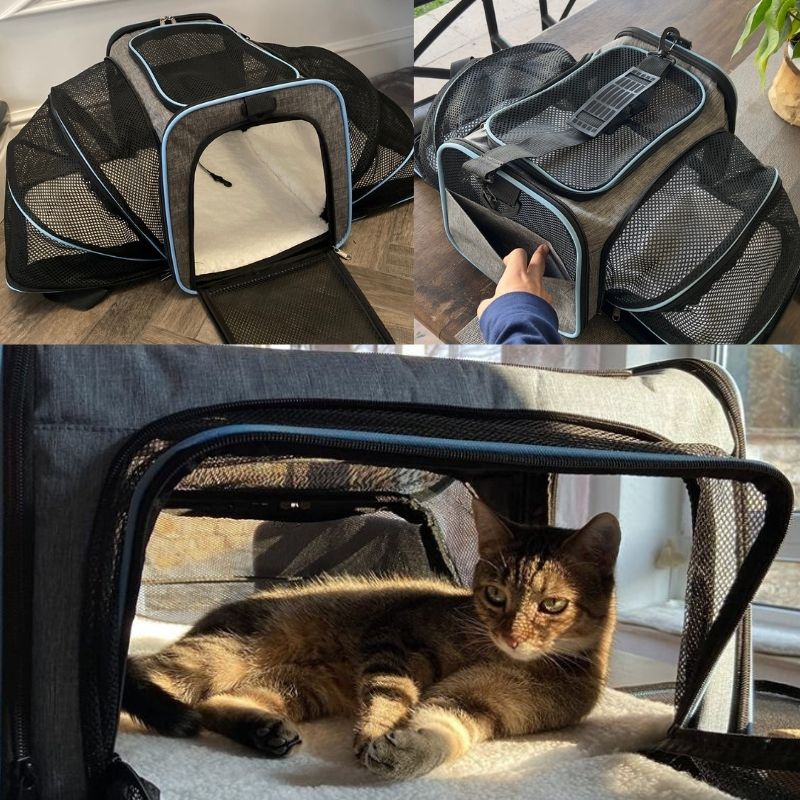 Sac de transport extensible pour chat | MiaouCamp™