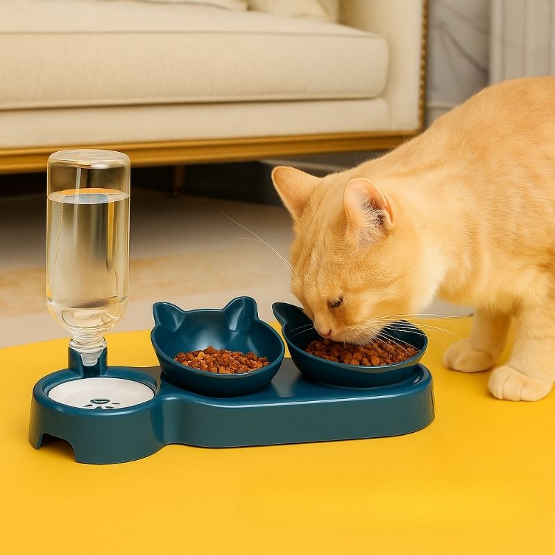 Chat mangeant dans gamelle avec eau fraîche automatique