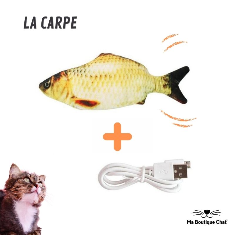 Jeux-chat-Ma-Boutique-Chat