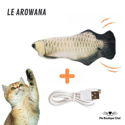 Jeux-chat-Ma-Boutique-Chat