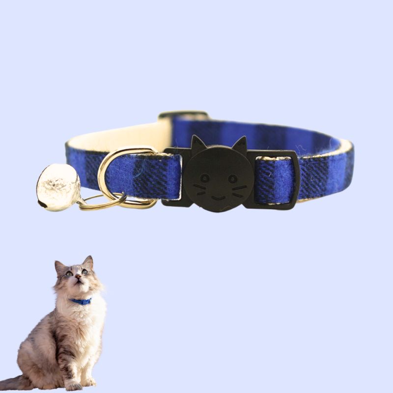 Collier-pour-chat-bleu