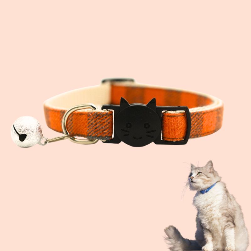 Collier-pour-chat-orange