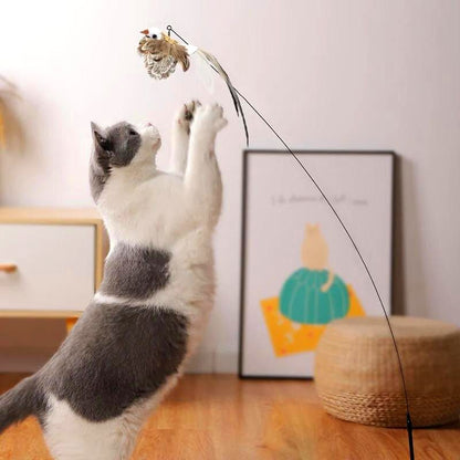 Jeux-chat-oiseau-Ma-boutique-chat