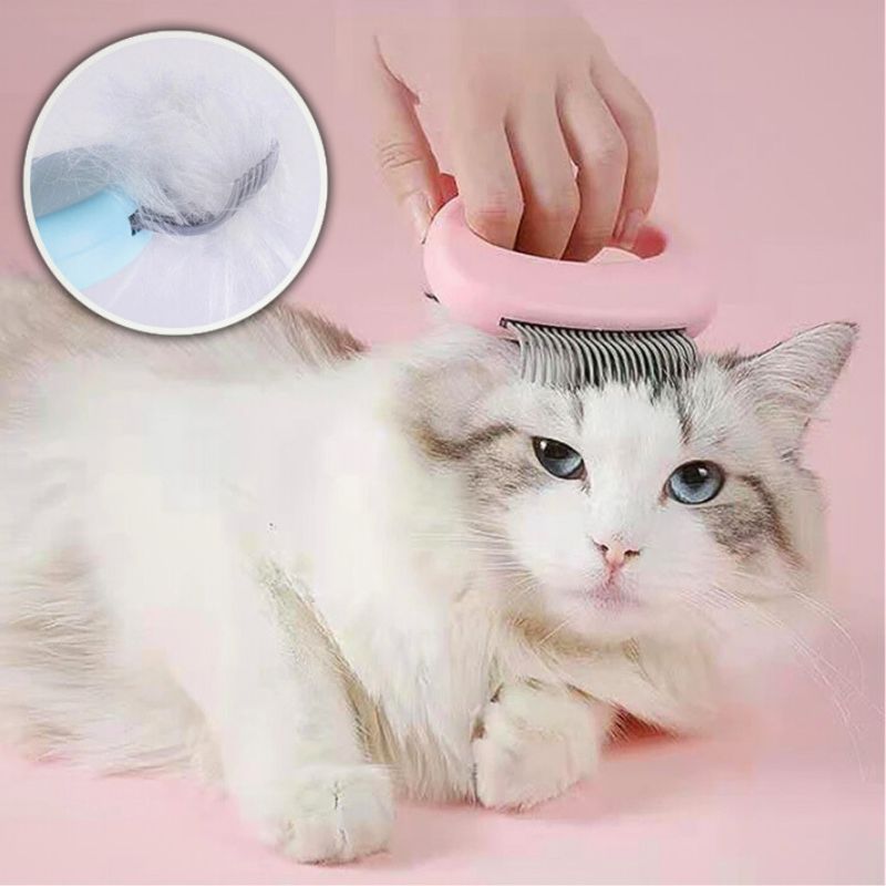 Peigne pour chat | MasseMiaou™