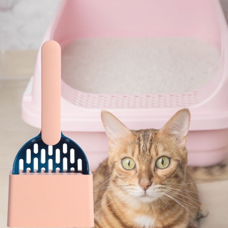 Pelle-litière-chat-rose