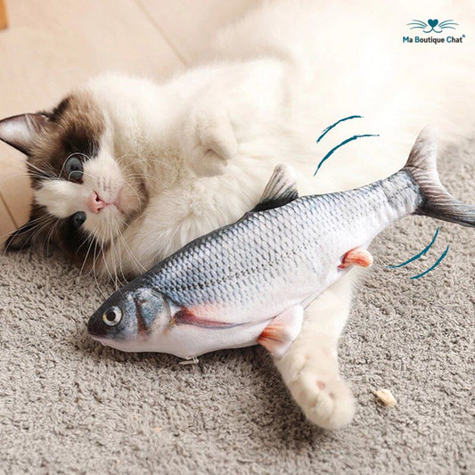 Jeux-chat-Ma-Boutique-Chat