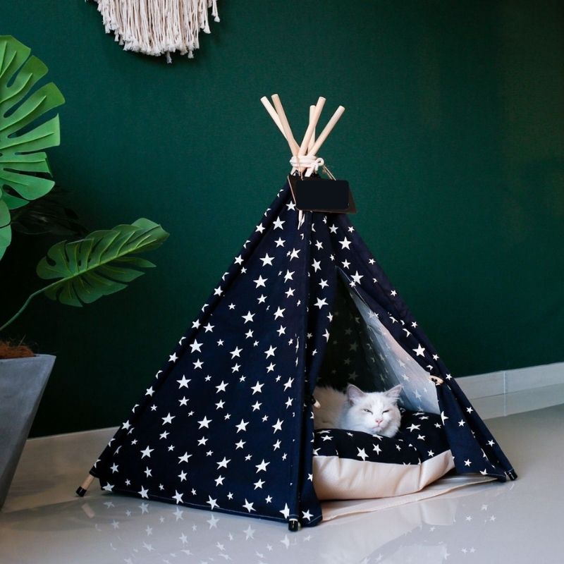 Tipi-pour-chat-Ma-Boutique-Chat