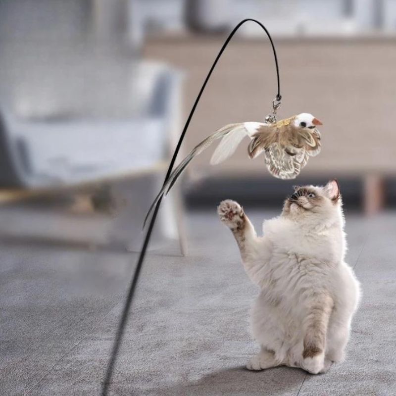 Jouet pour chat oiseau BirdFamily™ Ma Boutique Chat