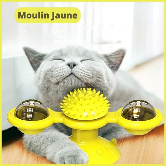 Jeux-chat-Ma-Boutique-Chat