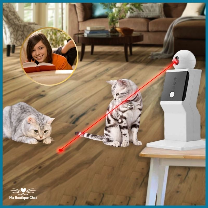 Jeux-chat-Ma-Boutique-Chat
