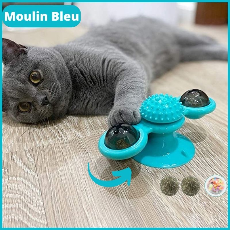Jeux-chat-Ma-Boutique-Chat