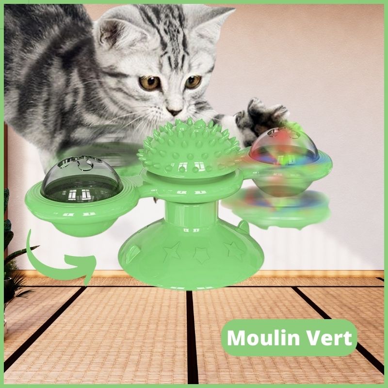 Jeux-chat-Ma-Boutique-Chat